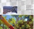 Play Magazine: Sonic the Hedgehog Unleashed