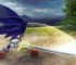 Sonic and the Black Knight
