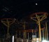 theme-park-p