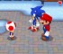 Mario_&_Sonic_at_the_Olympic_Winter_Games_-_E3-Nintendo_DSScreenshots17070image0439 Mario_&_Sonic_at_the_Olympic_Winter_Games_-_E3-Nintendo_DSScreenshots17070image0439