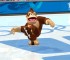 Mario_&_Sonic_at_the_Olympic_Winter_Games_-_E3-Nintendo_WiiScreenshots17084screenshot_00000347 Mario_&_Sonic_at_the_Olympic_Winter_Games_-_E3-Nintendo_WiiScreenshots17084screenshot_00000347