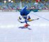 metalsonichockey metalsonichockey