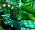Jumble Jungle (1) Jumble Jungle (1)