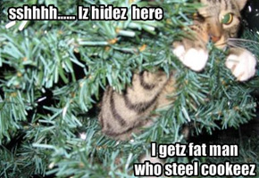 He iz pay for leeving dog last yeer!