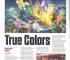 nintendopower2010dec04
