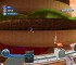 ME0001334757_2 ME0001334757_2