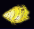 yellow_drill